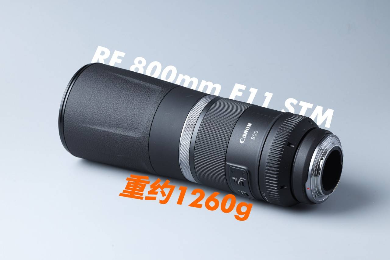 RF600mm &RF800mm F11 IS STM体验轻量化超远摄镜头的博弈_兰拓空间