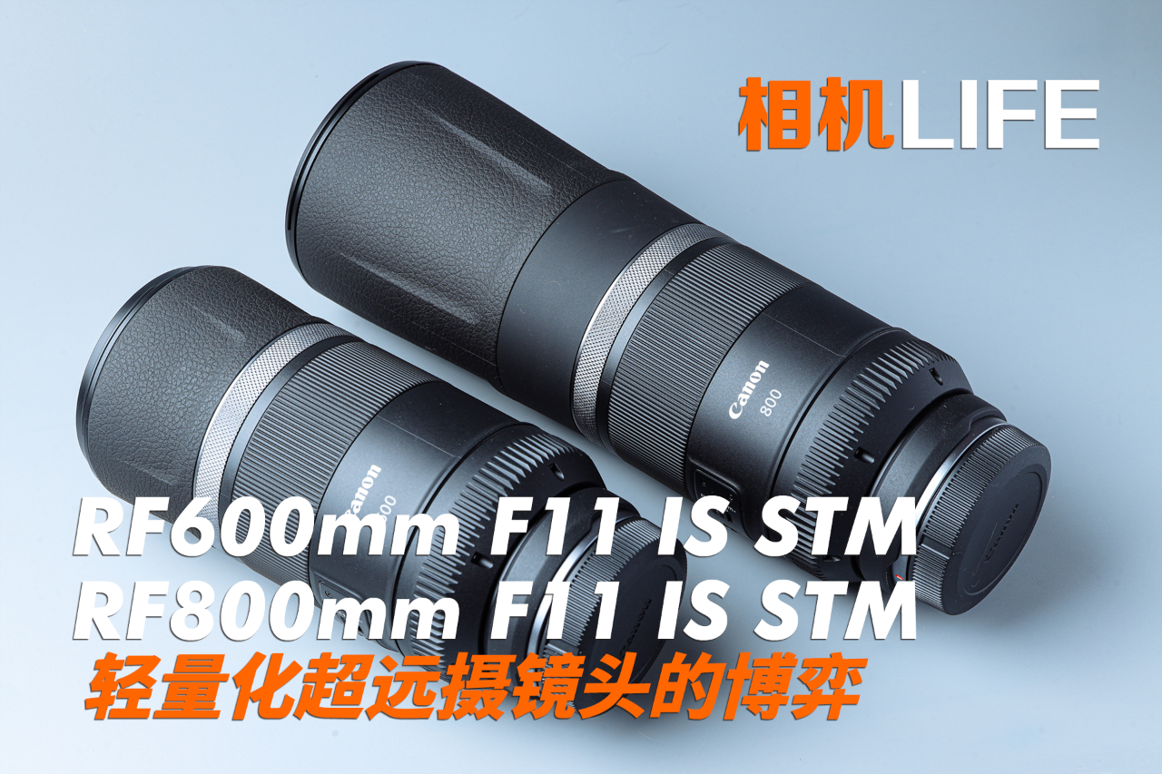 RF600mm &RF800mm F11 IS STM体验轻量化超远摄镜头的博弈_兰拓空间